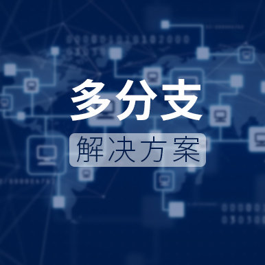 多分支解决方案